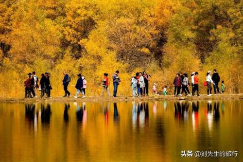2022年秋季额济纳胡杨林,最佳观赏期预测及旅行策略