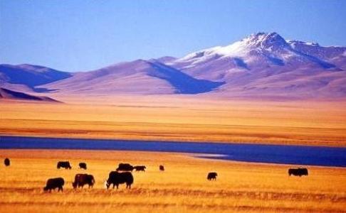 秋后的周边游:脱脱河、可可西里、三江源、阿尼玛青雪山。